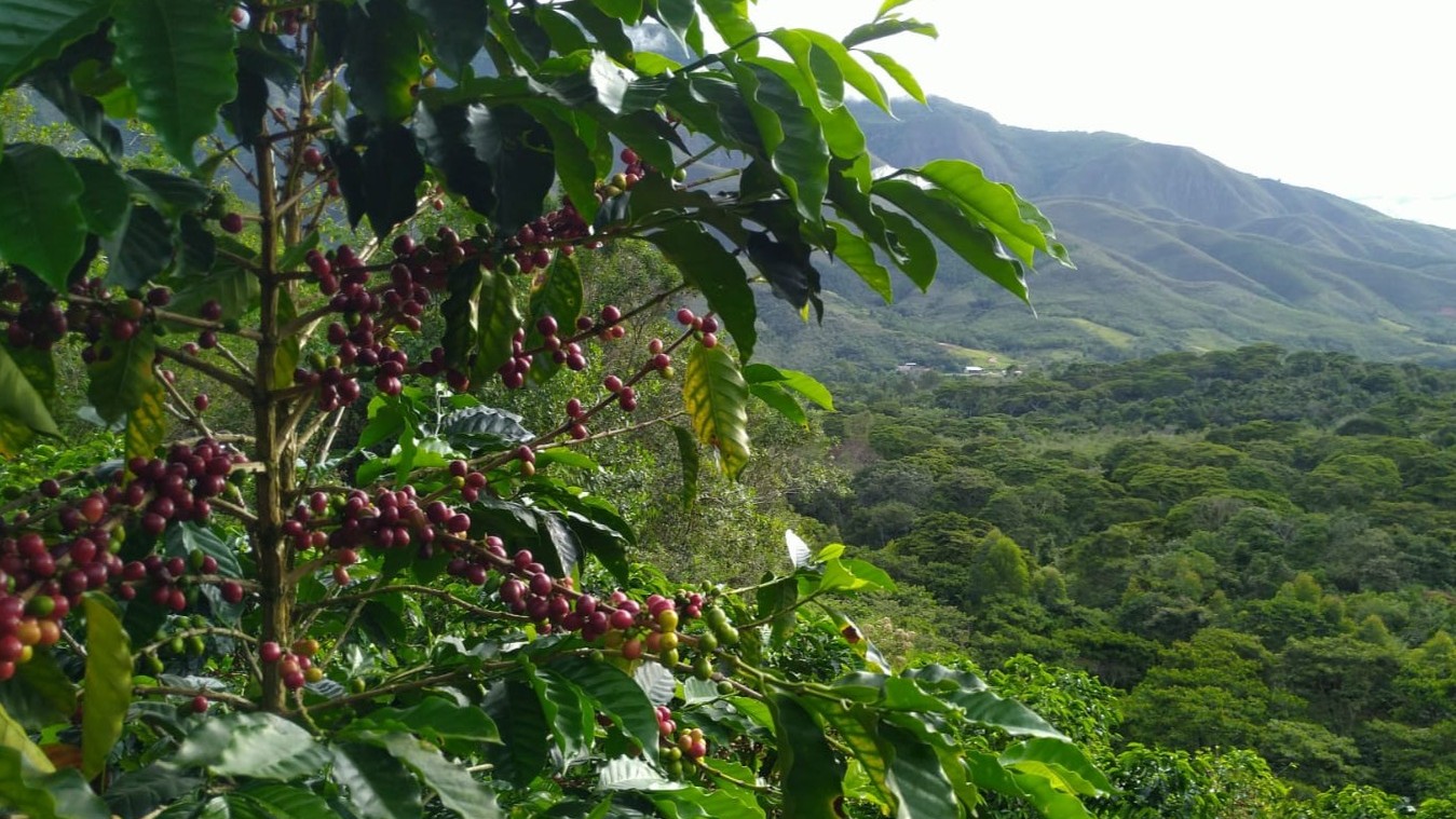 Peru Amazonas